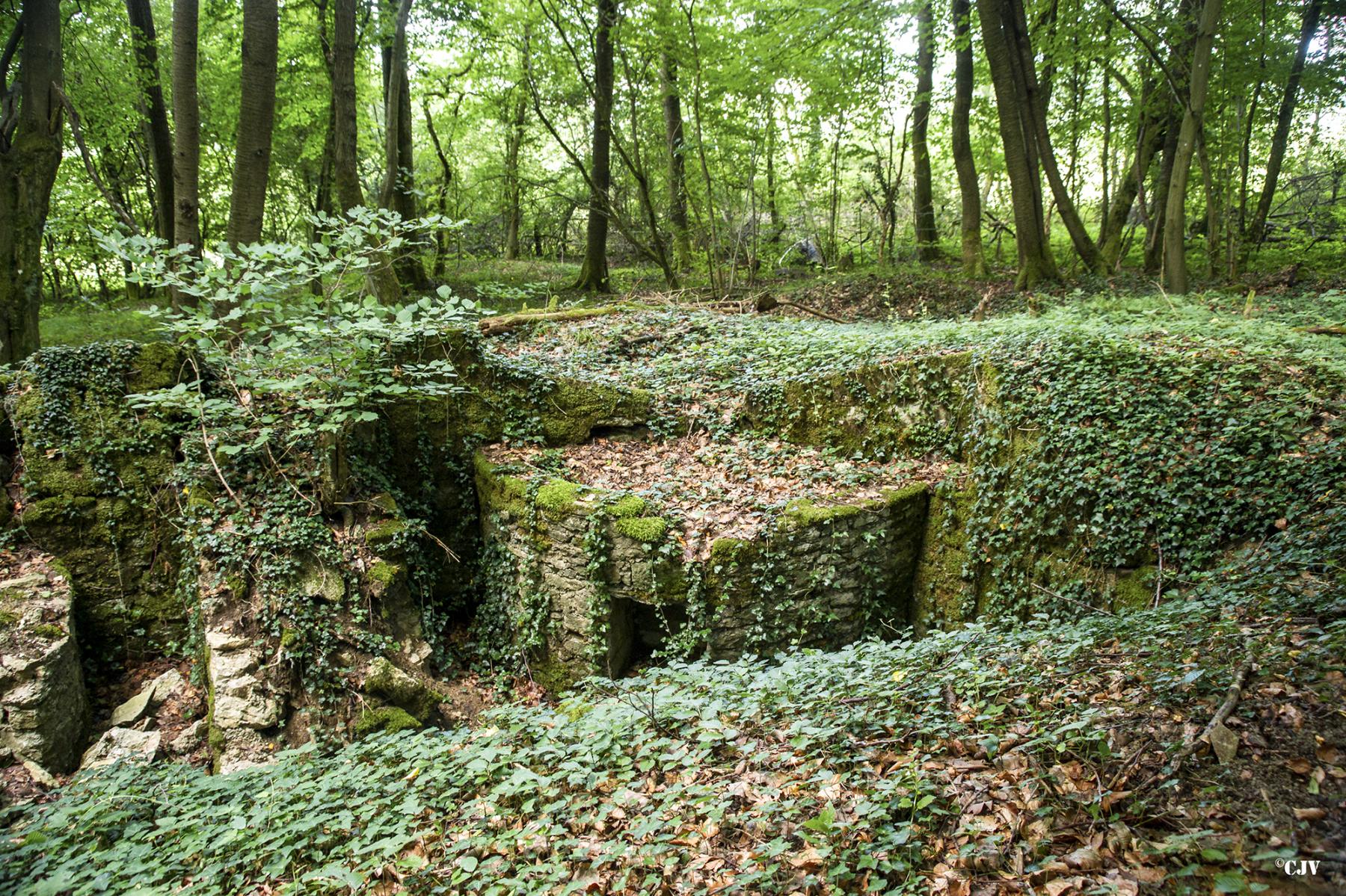 Ligne Maginot - MEISTERBUSCH 5 - (Cuve pour arme d'infanterie) - 