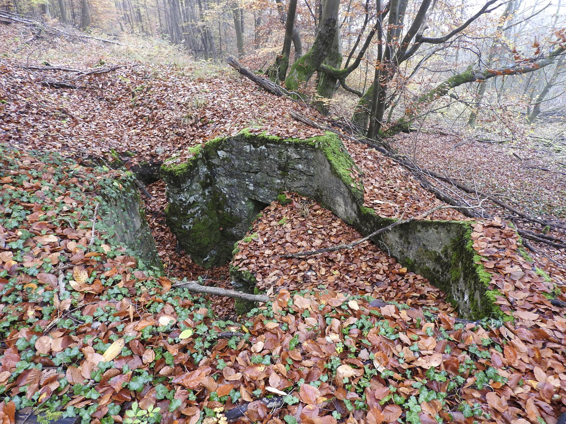 Ligne Maginot - GUNGLINGERBERG 5 - (Cuve pour arme d'infanterie) - La cuve pour arme d'infanterie.