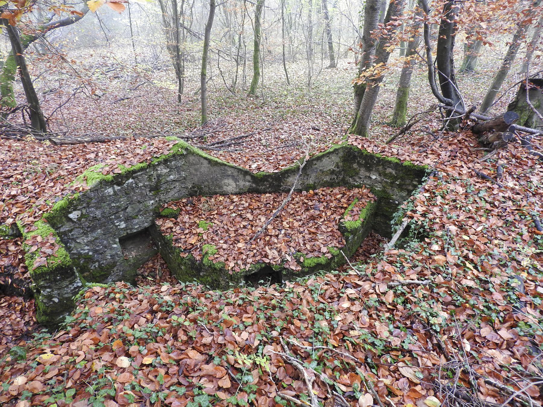 Ligne Maginot - GUNGLINGERBERG 5 - (Cuve pour arme d'infanterie) - La cuve pour arme d'infanterie.
