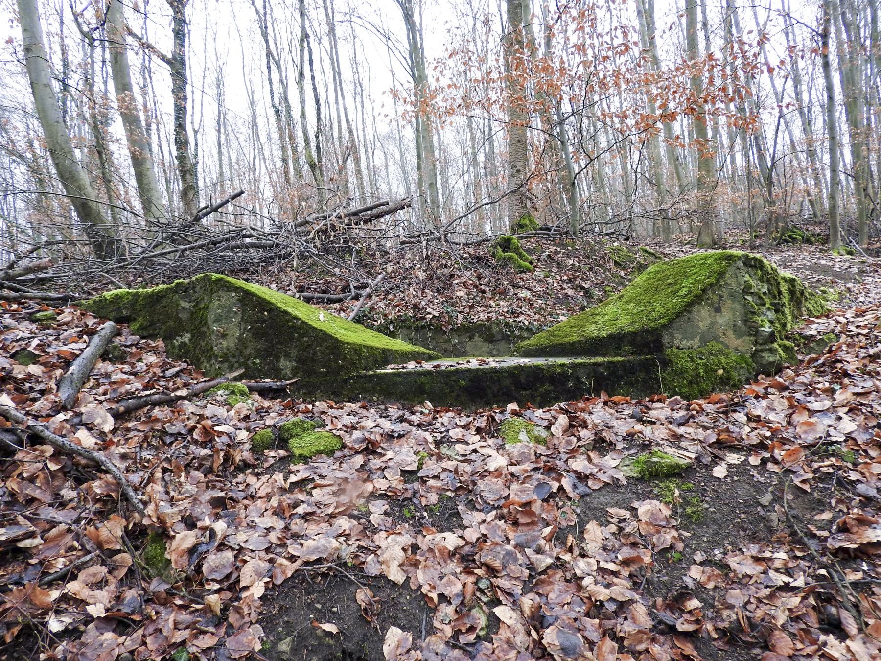 Ligne Maginot - GUNGLINGERBERG 5 - (Cuve pour arme d'infanterie) - Le parapet. - STENGER Mathieu