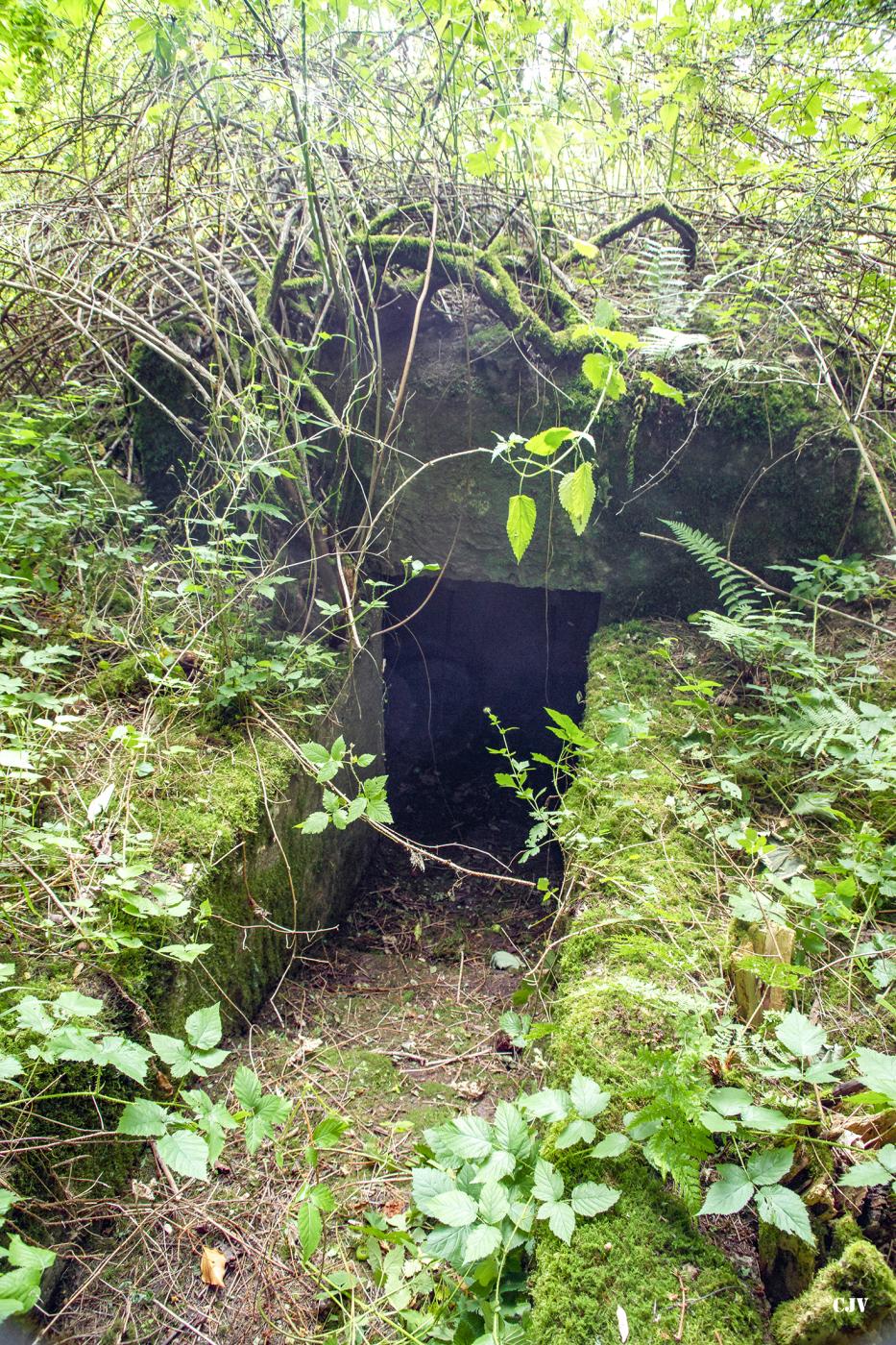 Ligne Maginot - RUISSEAU DE LA ROSE OUEST 1 - (Blockhaus pour arme infanterie) - L'entrée - Lia VERMEULEN