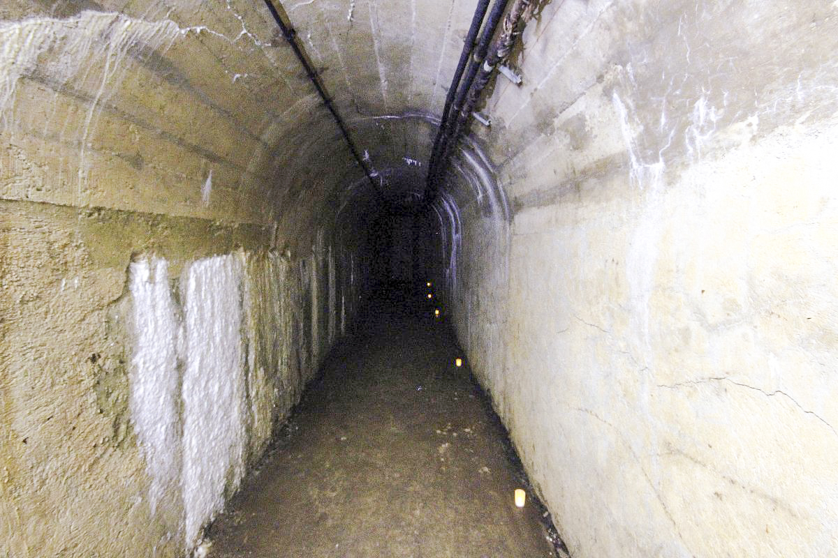 Ligne Maginot - VULMIS OU VULMIX - (Position d'artillerie préparée) - 
