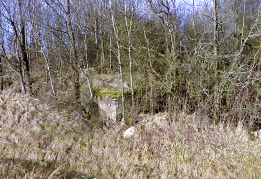 Ligne Maginot - COTE 252 2 (Blockhaus de type indéterminé) - 