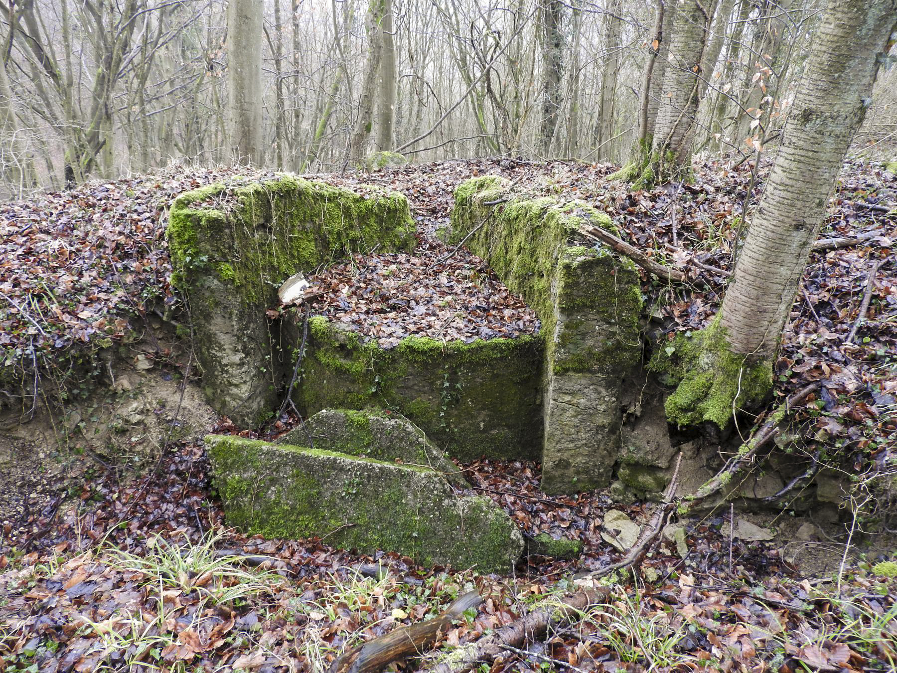 Ligne Maginot - GUNGLINGERBERG 4 - (Cuve pour arme d'infanterie) - Le poste de tir pour FM.