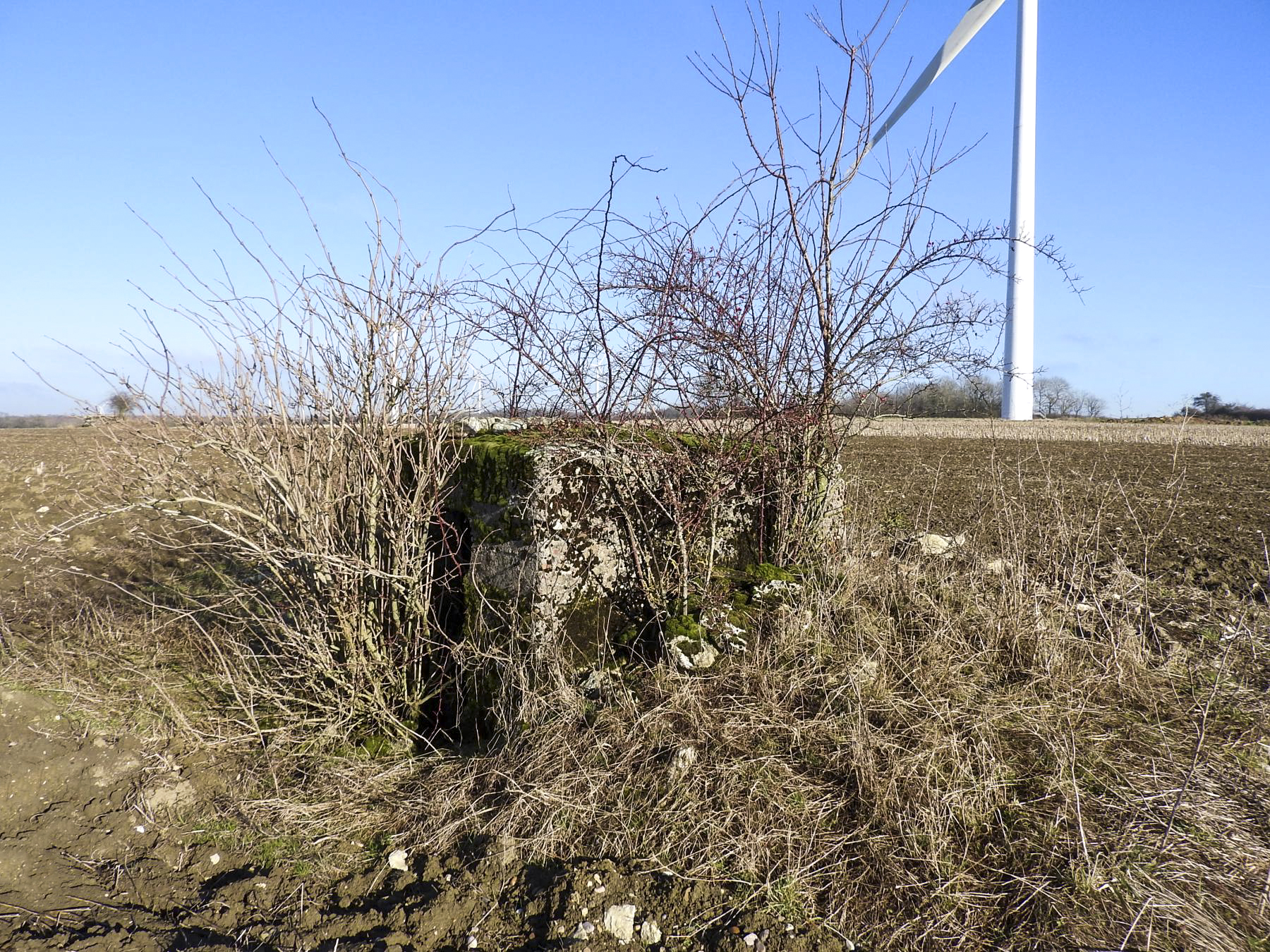 Ligne Maginot - SCHLANGENSTUCK 1 - (Blockhaus pour arme infanterie) - La façade arrière.