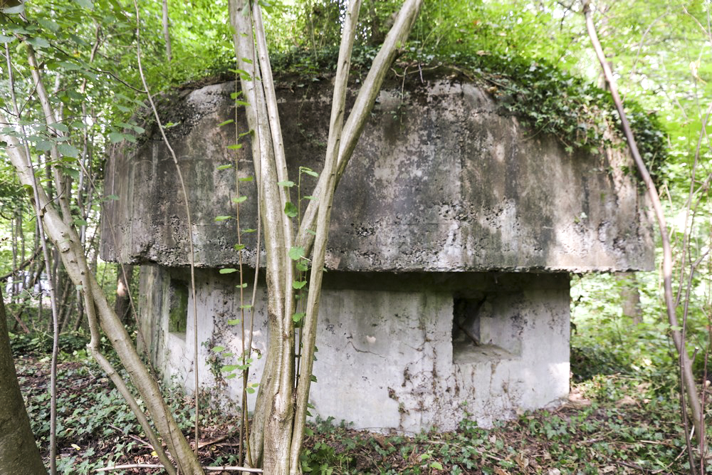 Ligne Maginot - HECKENWALD NORD - (Blockhaus pour arme infanterie) - 