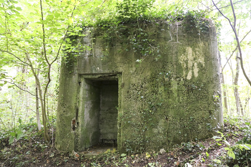 Ligne Maginot - HECKENWALD NORD - (Blockhaus pour arme infanterie) - 
