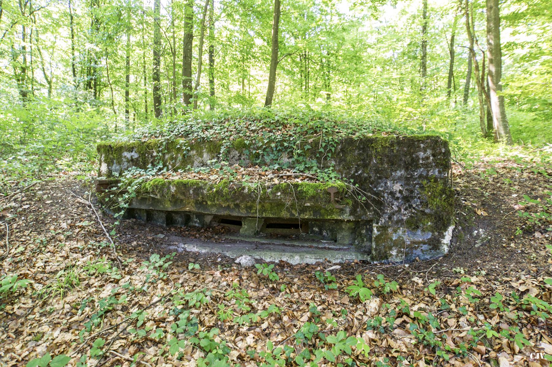 Ligne Maginot - HART CENTRE 3 - (Observatoire indeterminé) -  - Lia VERMEULEN