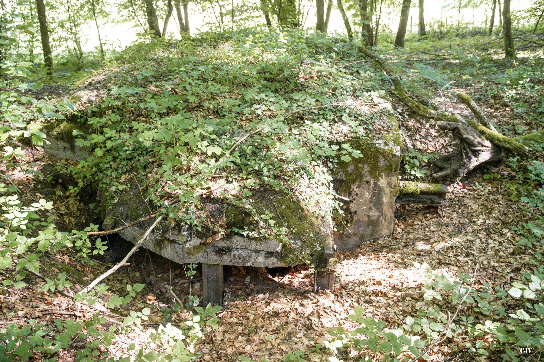 Ligne Maginot - HART CENTRE 3 - (Observatoire indeterminé) - L'entrée