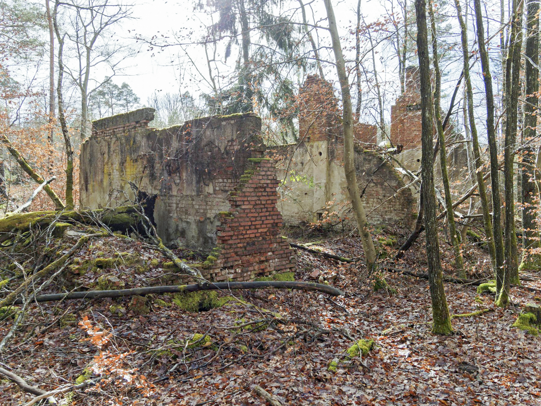 Ligne Maginot - BIESENBERG - (Casernement) - Les ruines du casernement