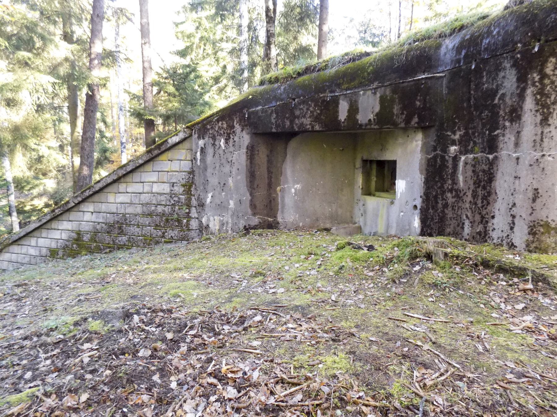 Ligne Maginot - BIESENBERG 1 - (Blockhaus pour arme infanterie) - Vue d'ensemble - luc.j