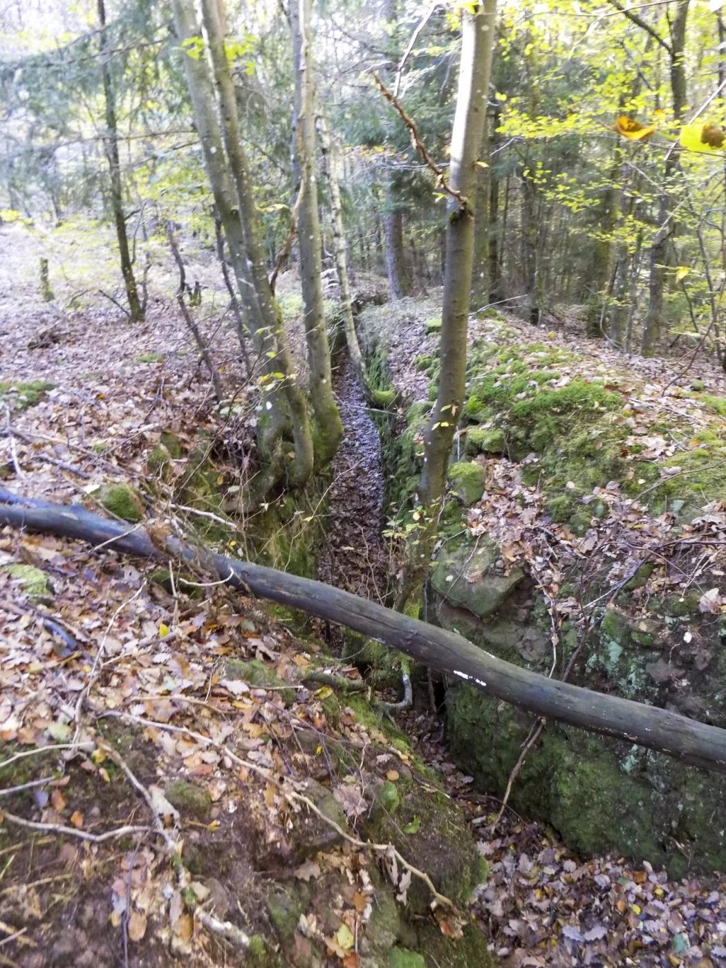 Ligne Maginot - BIESENBERG 1 - (Blockhaus pour arme infanterie) - Tranchée à l'arrière du blockhaus