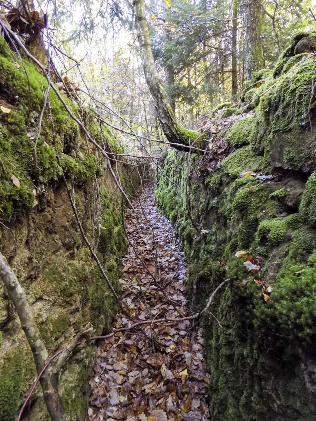 Ligne Maginot - BIESENBERG 1 - (Blockhaus pour arme infanterie) - Tranchée à l'arrière du blockhaus