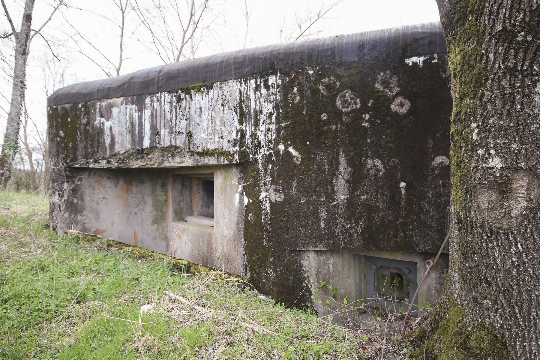Ligne Maginot - HERBITZHEIM  1 - (Blockhaus pour arme infanterie) - 