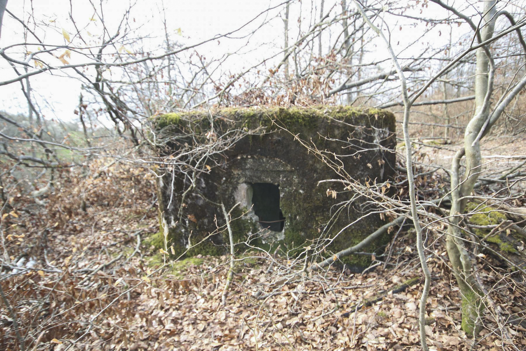 Ligne Maginot - KISSWALD 3 - (Blockhaus pour arme infanterie) -  - Les Bergers des Pierres_Michel & Philippe ZIMMER