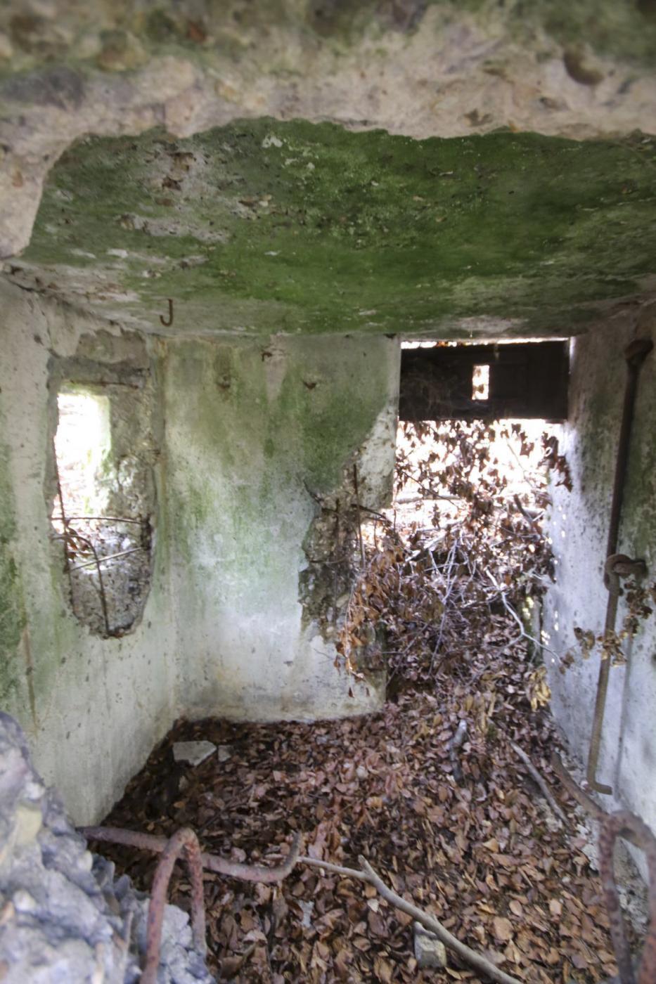 Ligne Maginot - KISSWALD 3 - (Blockhaus pour arme infanterie) -  - Les Bergers des Pierres_Michel & Philippe ZIMMER