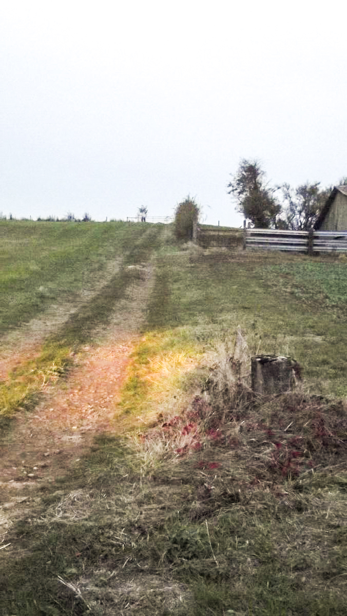 Ligne Maginot - GUERLETTE - (Casemate d'infanterie - double) - Accès depuis la route et bornes permettant de délimiter l'emprise militaire