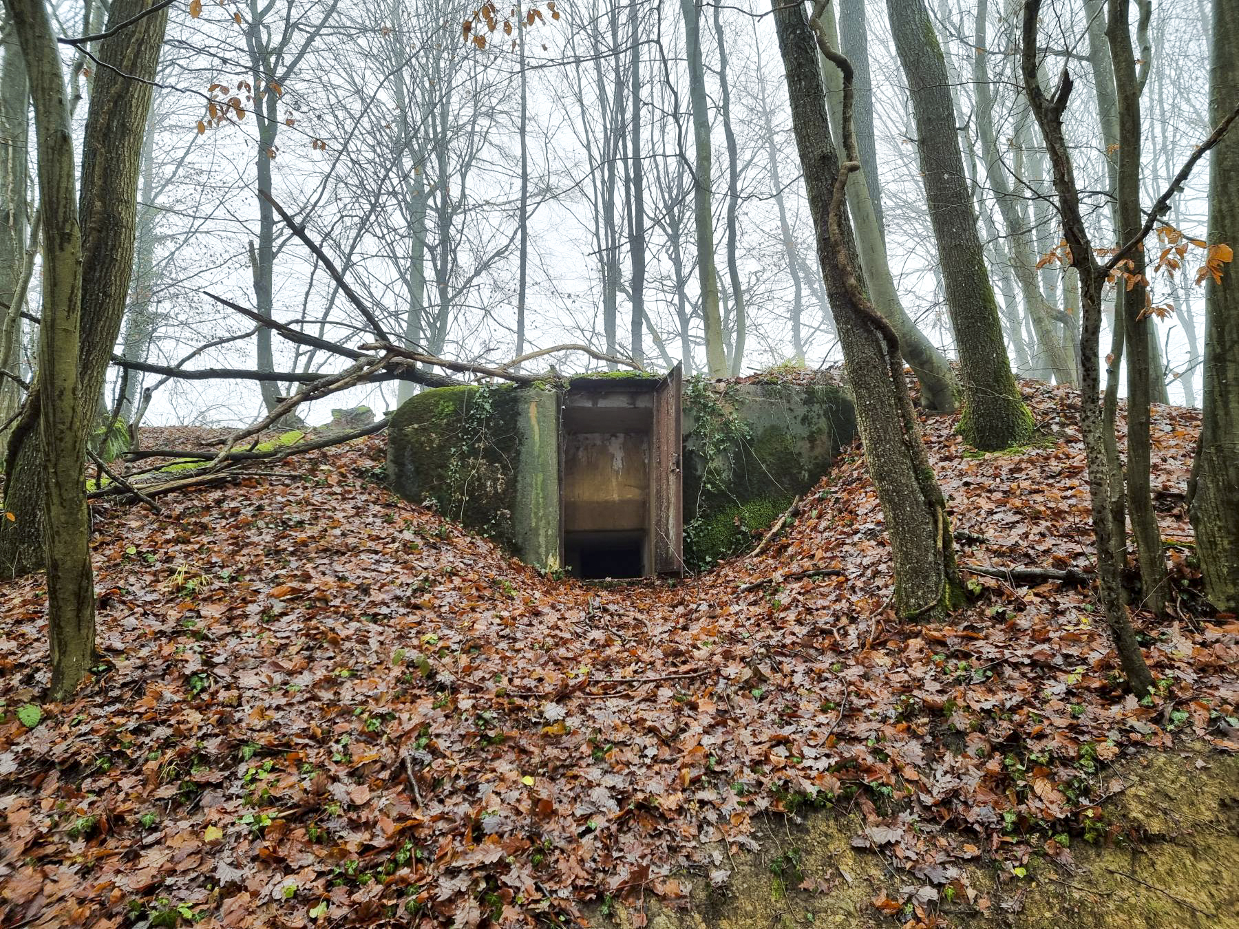 Ligne Maginot - 21M - (Chambre de coupure) - Vue d'ensemble de la chambre de coupure, construite à flanc de colline.