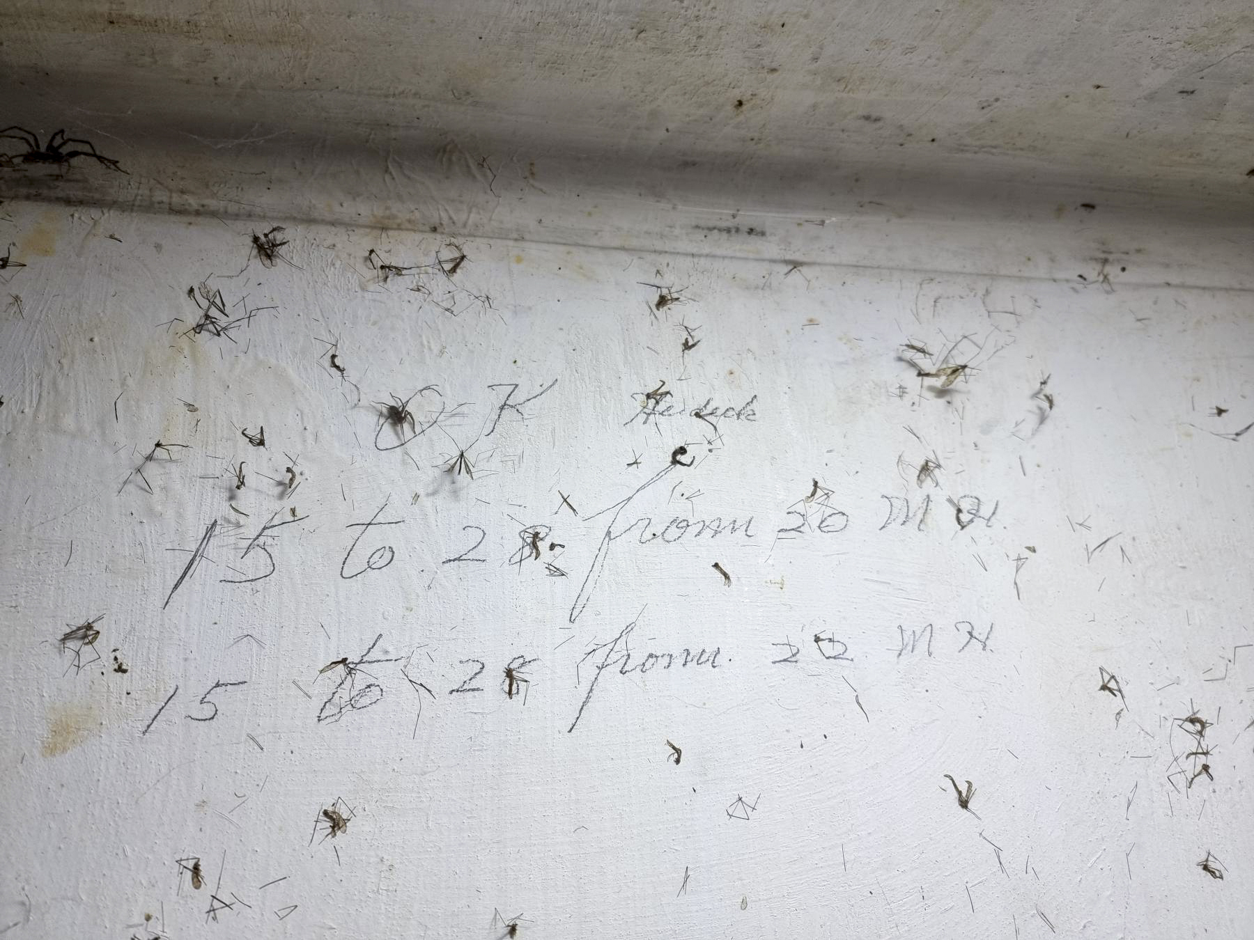 Ligne Maginot - 21M - (Chambre de coupure) - D'étonnantes inscriptions en anglais. Tentative d'utilisation du réseau téléphonique par les américains ?