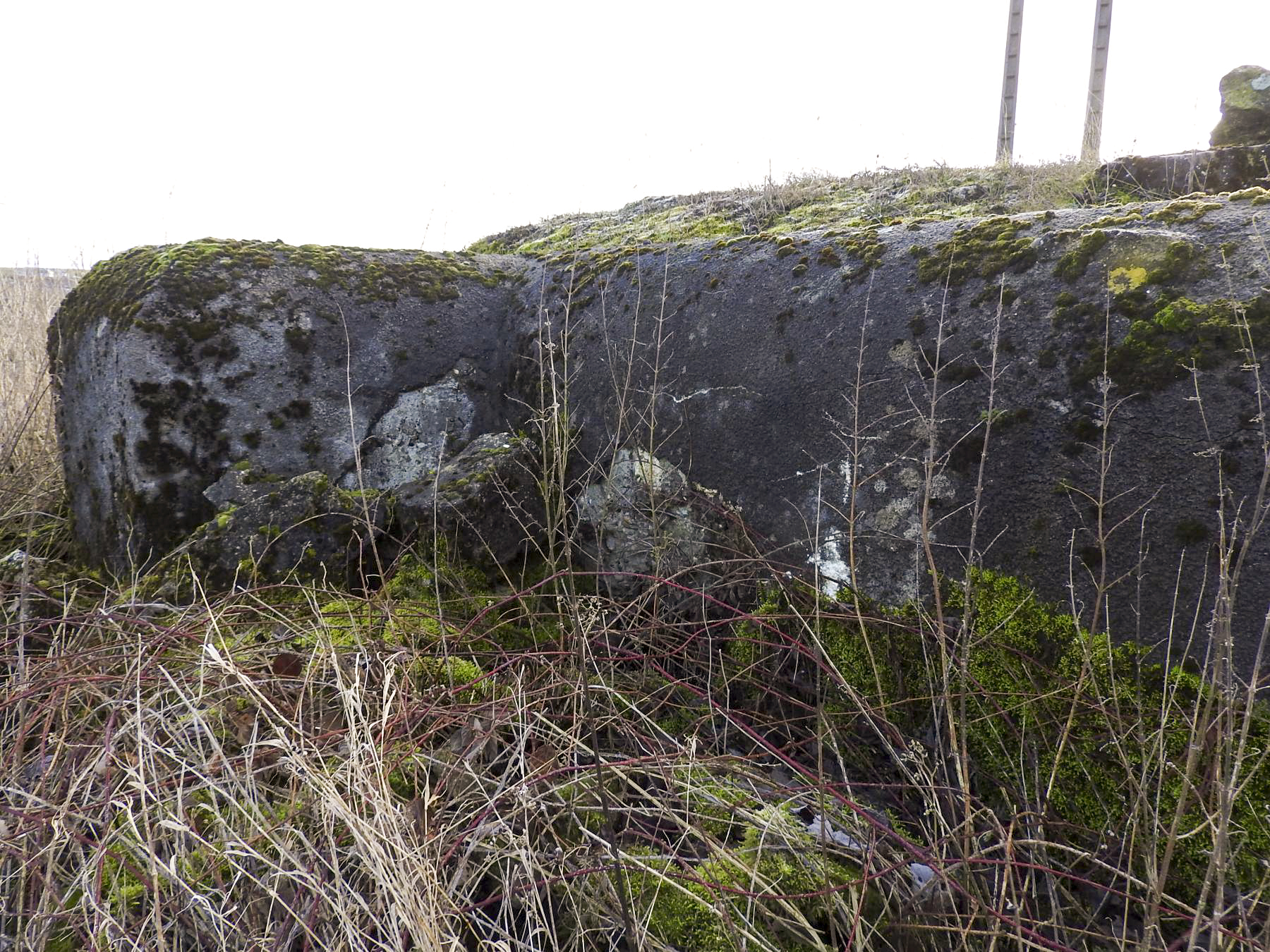 Ligne Maginot - DORRWIESE 2 - (Blockhaus de type indéterminé) - La façade de tir. - STENGER Mathieu