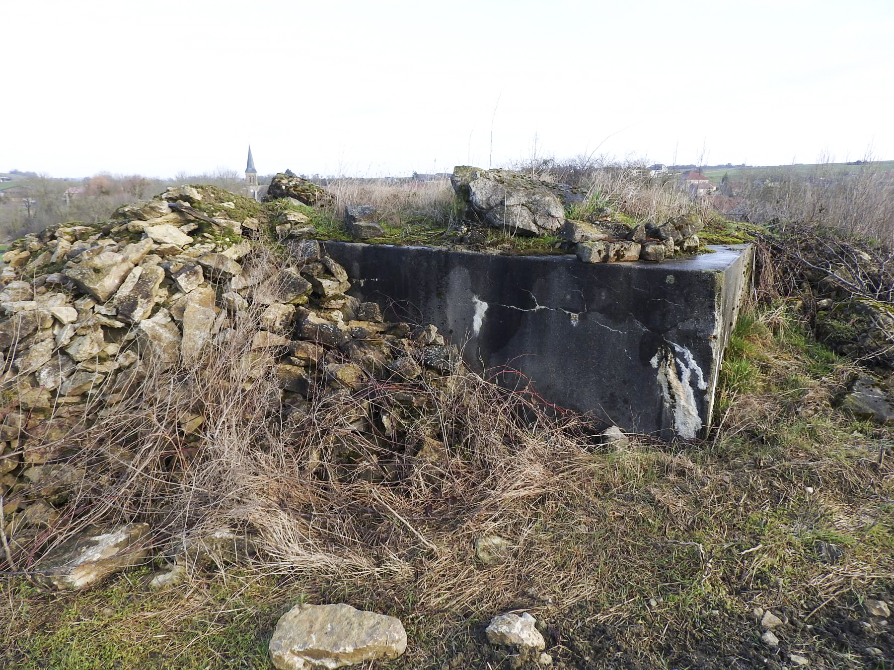 Ligne Maginot - DORRWIESE 2 - (Blockhaus de type indéterminé) - La façade arrière. - STENGER Mathieu