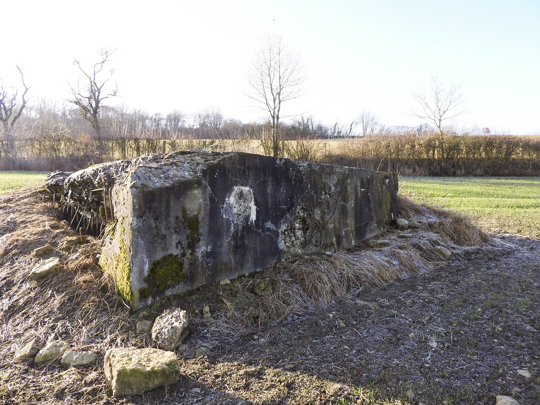 Ligne Maginot - BB149 - DORRWIESE 3 - (Blockhaus pour canon) - 