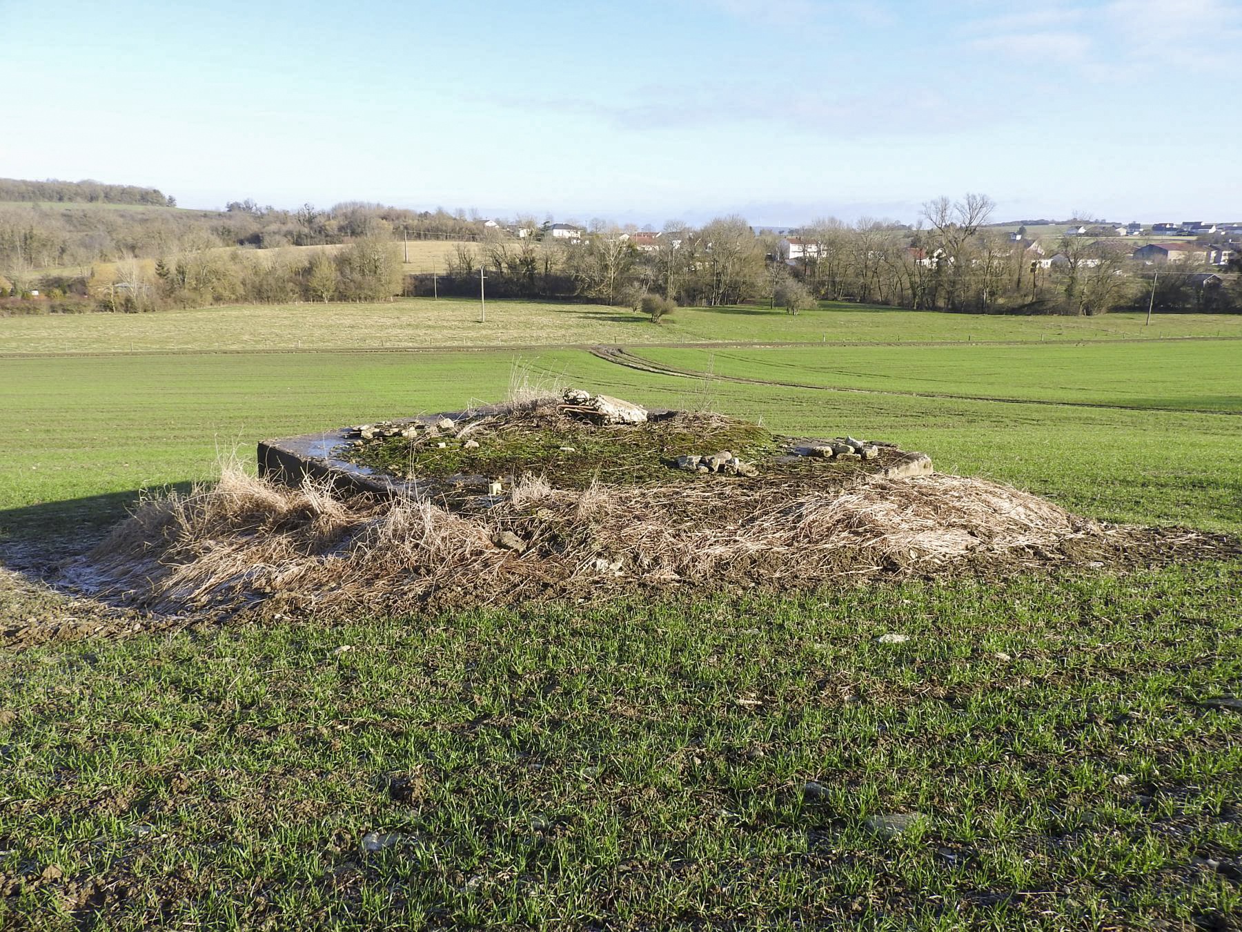 Ligne Maginot - BB149 - DORRWIESE 3 - (Blockhaus pour canon) - Les entrées sont totalement remblayées.