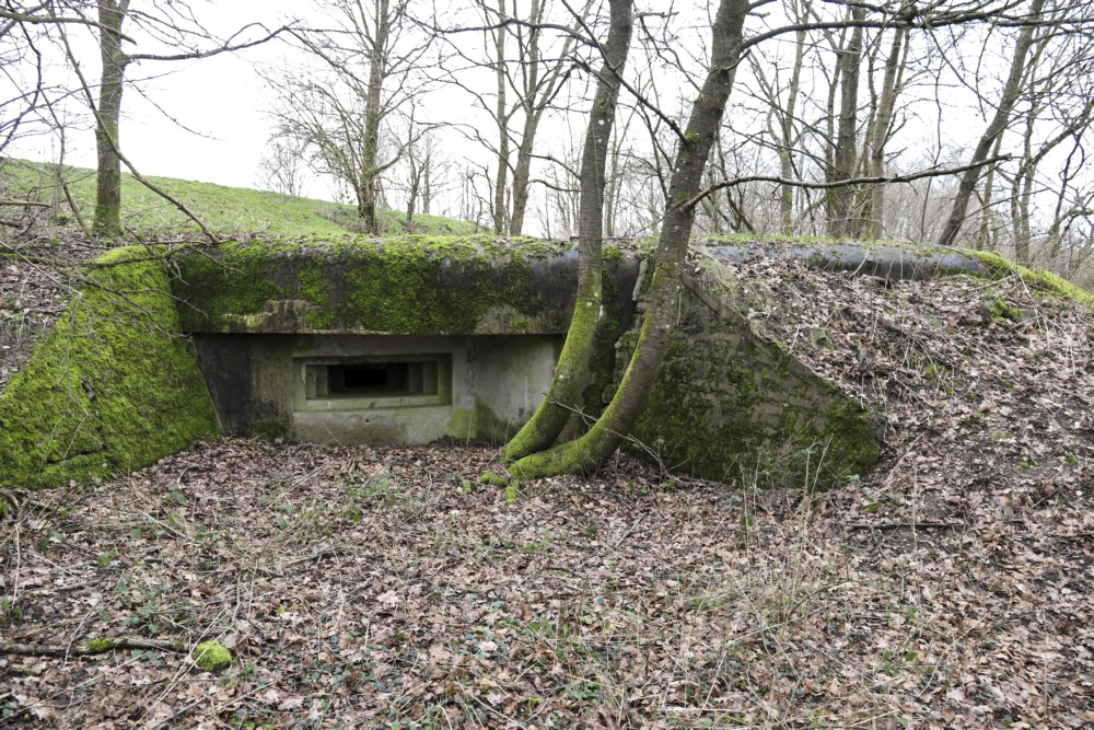 Ligne Maginot - M129 - NACHTWEID 1 - (Blockhaus pour arme infanterie) - Embrasure en direction de la route du Nord, venant de Rech