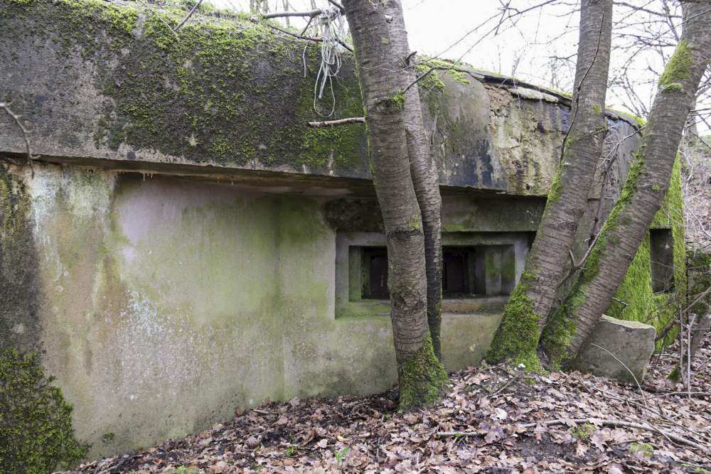 Ligne Maginot - M129 - NACHTWEID 1 - (Blockhaus pour arme infanterie) - Embrasure mitrailleuse en direction de l'inondation de l'Albe et des blockhaus du Mittenwald
