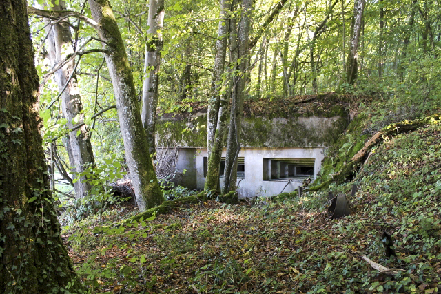 Ligne Maginot - SCHLOSSWALD 4 - (Blockhaus pour arme infanterie) - Façade de tir Ouest - Christian LENHARD