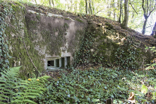 Ligne Maginot - SCHLOSSWALD 4 - (Blockhaus pour arme infanterie) - Façade de tir Est - Christian LENHARD