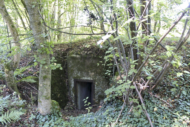 Ligne Maginot - SCHLOSSWALD 4 - (Blockhaus pour arme infanterie) - Façade arriere - Christian LENHARD