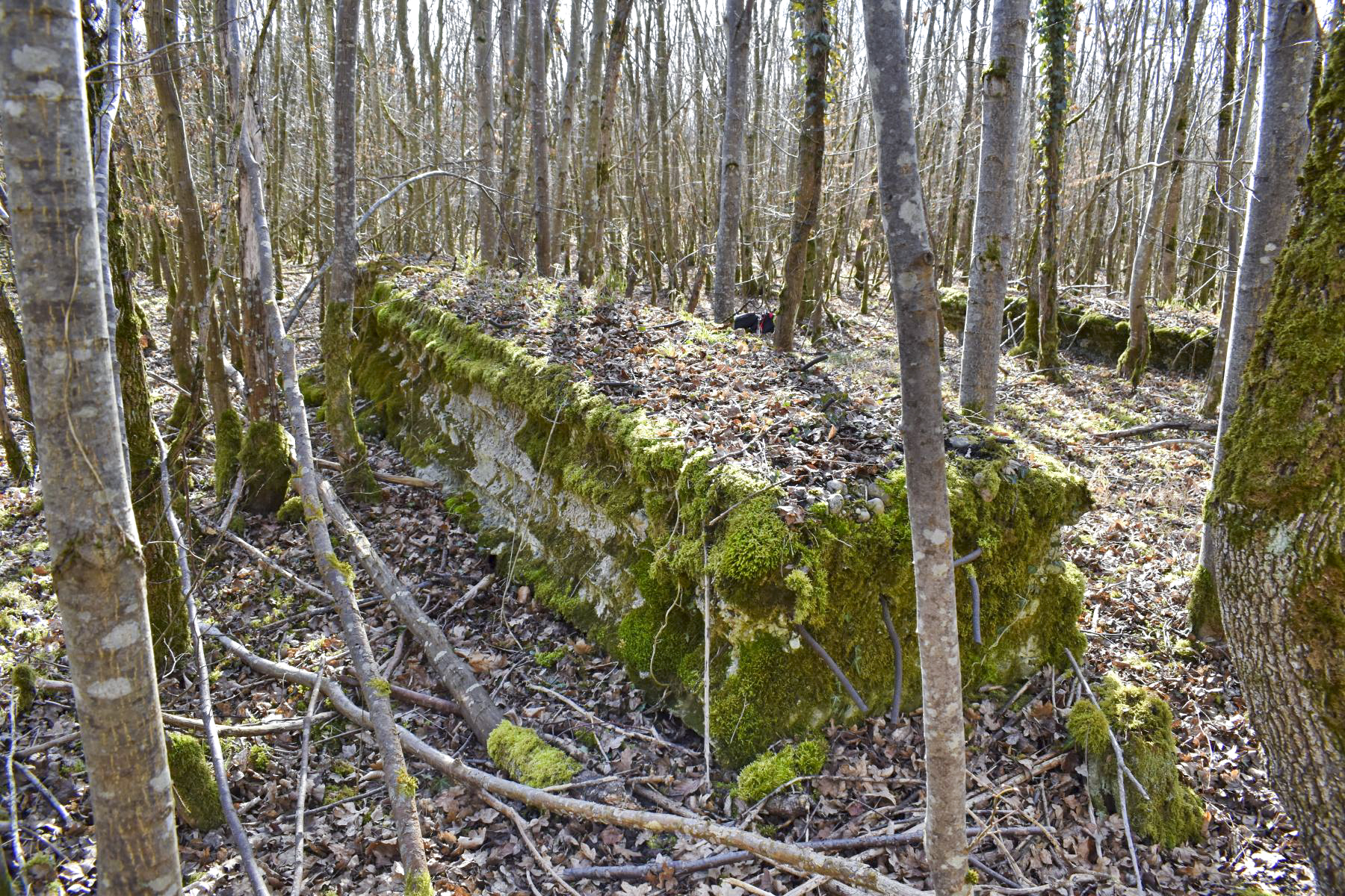 Ligne Maginot - GUSTAVE - (Position d'artillerie préparée) - Pan de mur Ouest
