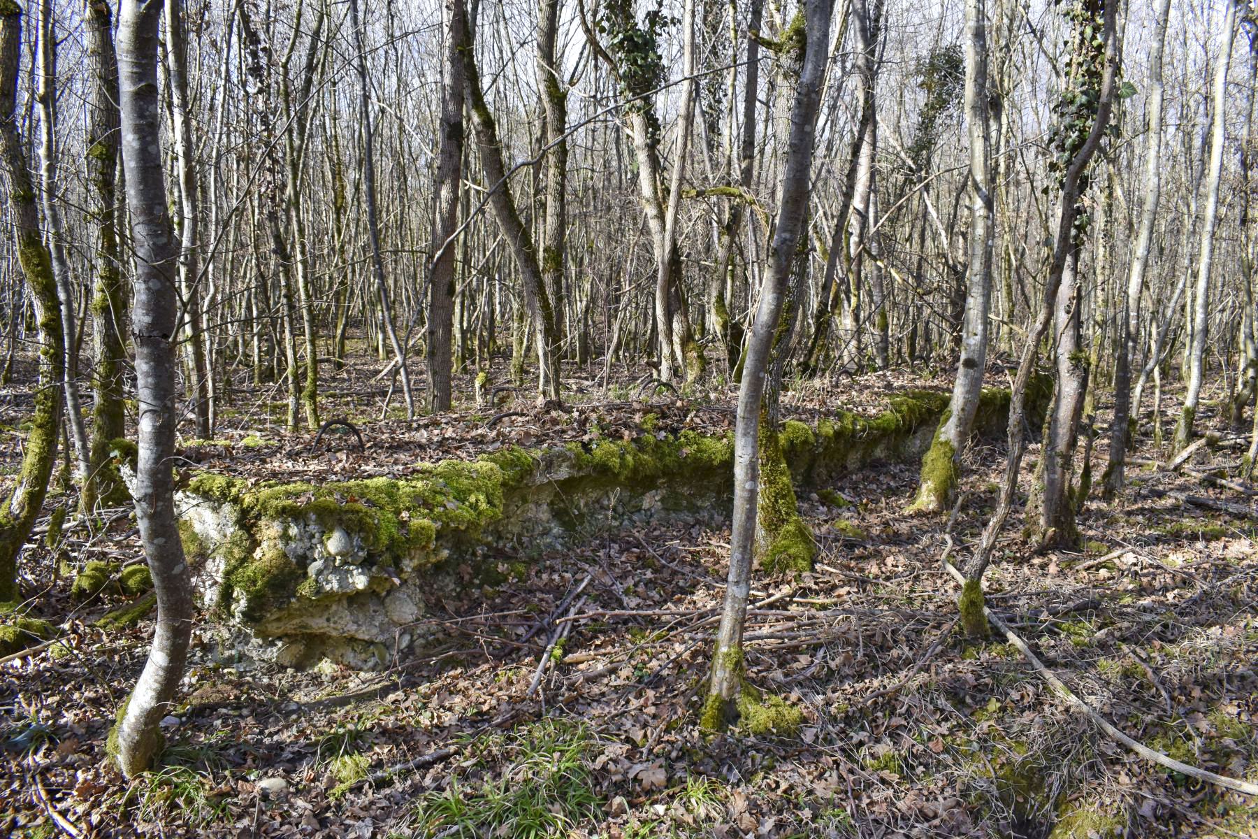 Ligne Maginot - GUSTAVE - (Position d'artillerie préparée) - Pan de mur Est