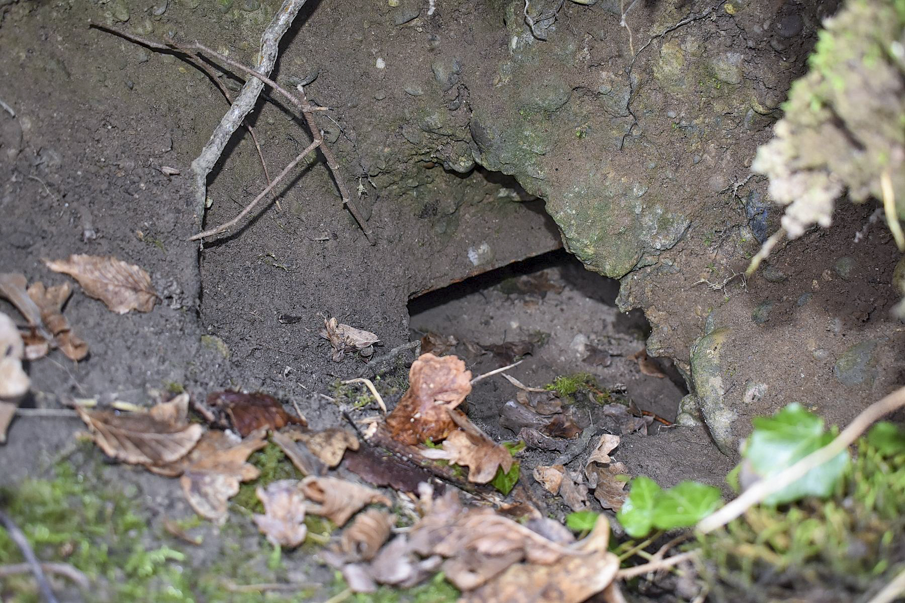 Ligne Maginot - GUSTAVE - (Position d'artillerie préparée) - Tôle métro, apparaissant sous le béton