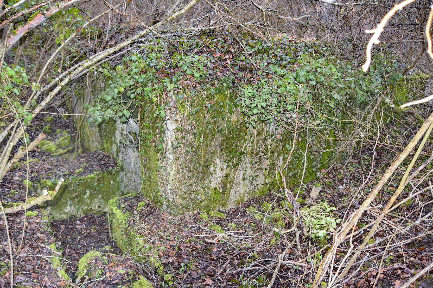 Ligne Maginot - BAERENRAIN 2 - (Abri) - Coté sud
