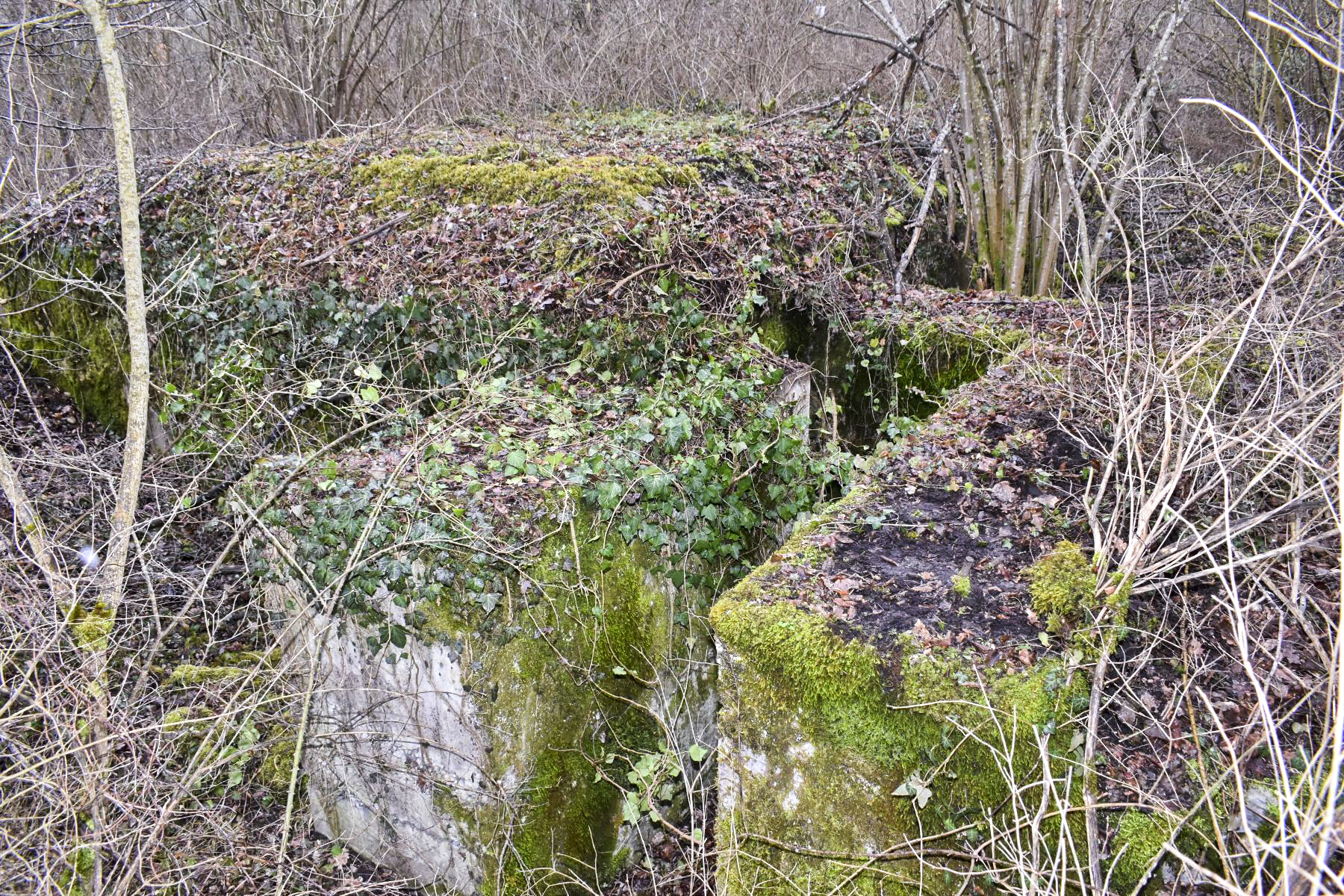 Ligne Maginot - BAERENRAIN 2 - (Abri) - Coté nord avec son entrée protégée. - Daniel Froehly
