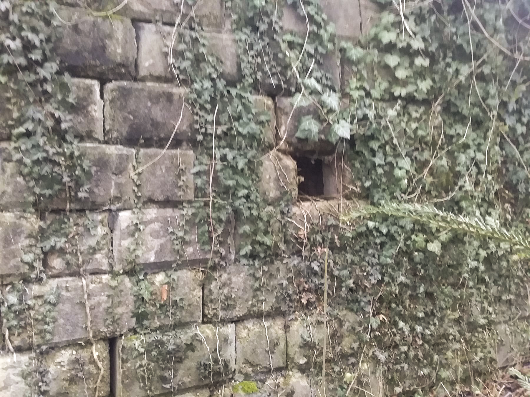 Ligne Maginot - 32/3 - RICHTOLSHEIM - (Casemate d'infanterie - Double) - 