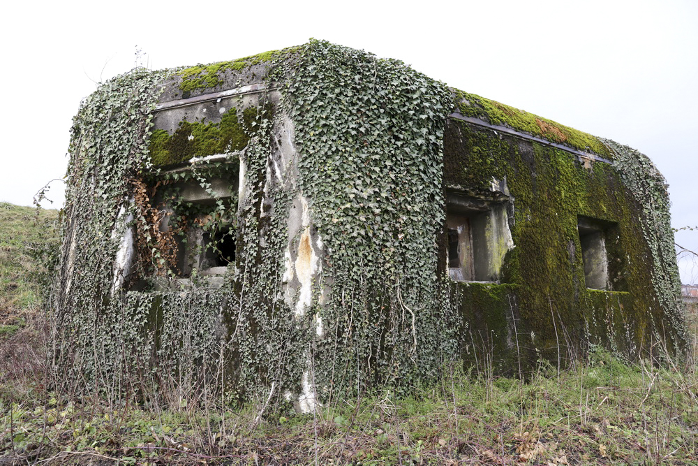 Ligne Maginot - SARRALBE BARRAGE SUD - (Blockhaus pour arme infanterie) - 
