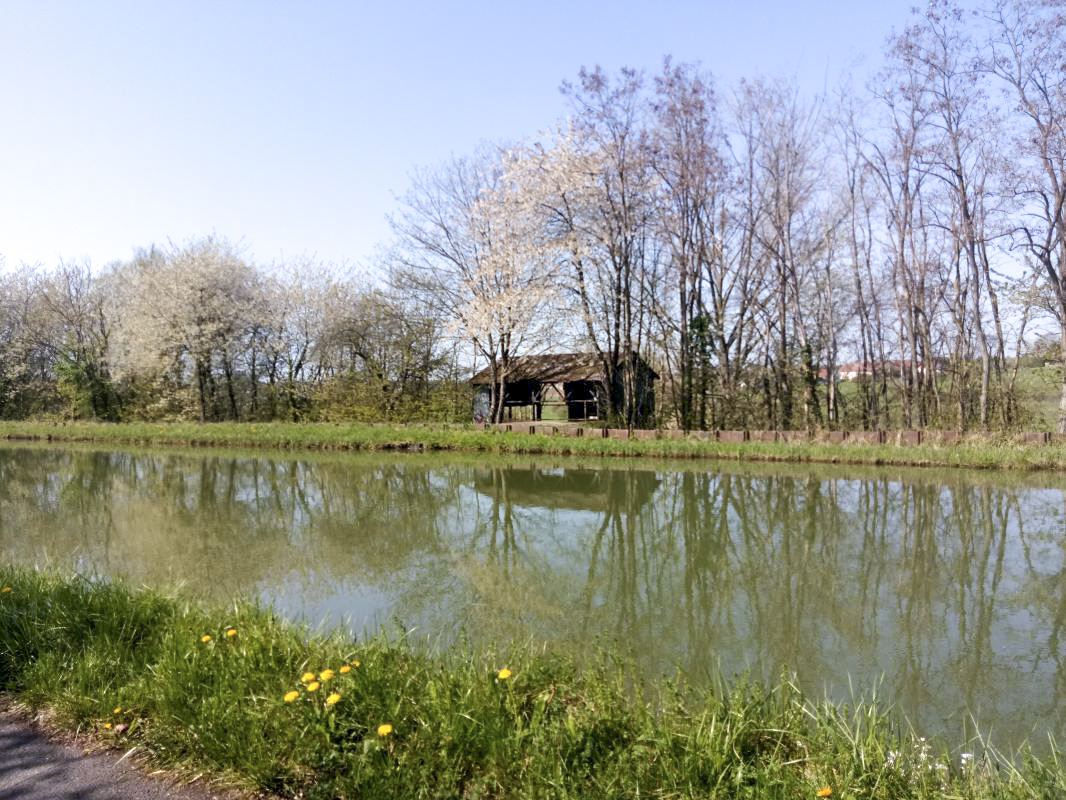 Ligne Maginot - SARRALBE CANAL - (Inondation défensive) - Prise de l’autre cote du canal