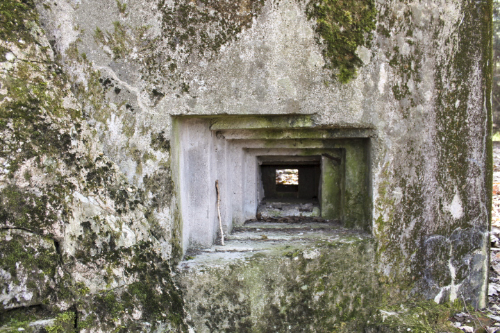 Ligne Maginot - SCHLOSSWALD 2 - (Blockhaus pour arme infanterie) - Créneau fusil mitrailleur