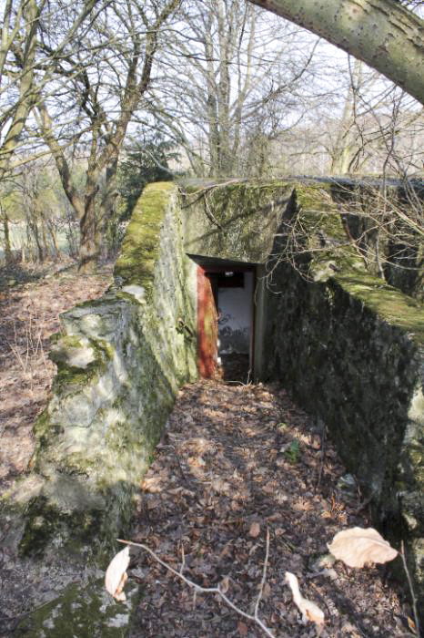 Ligne Maginot - SCHLOSSWALD 2 - (Blockhaus pour arme infanterie) - Chemin d'accès