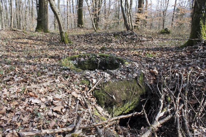Ligne Maginot - SCHLOSSWALD 6 - (Observatoire d'infanterie) - Vue générale