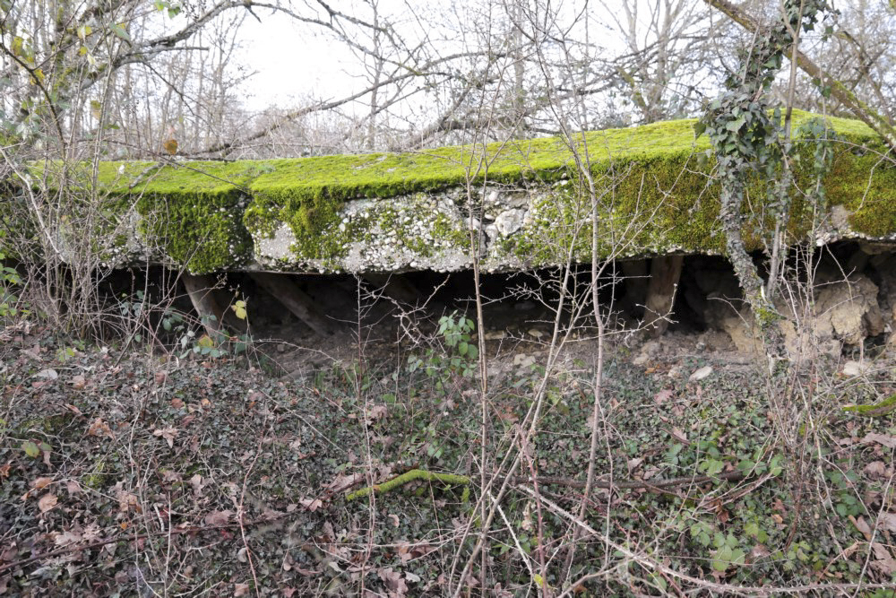 Ligne Maginot - SCHWANDELWALD 2 - (Abri) - 