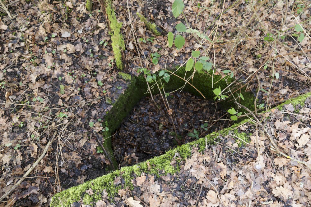 Ligne Maginot - SCHWANDELWALD 4 - (Cuve pour arme d'infanterie) - 