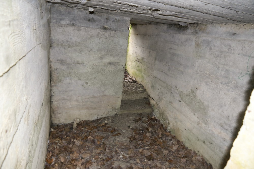 Ligne Maginot - SCHWANDELWALD 4 - (Cuve pour arme d'infanterie) - Abri contigu à la cuve