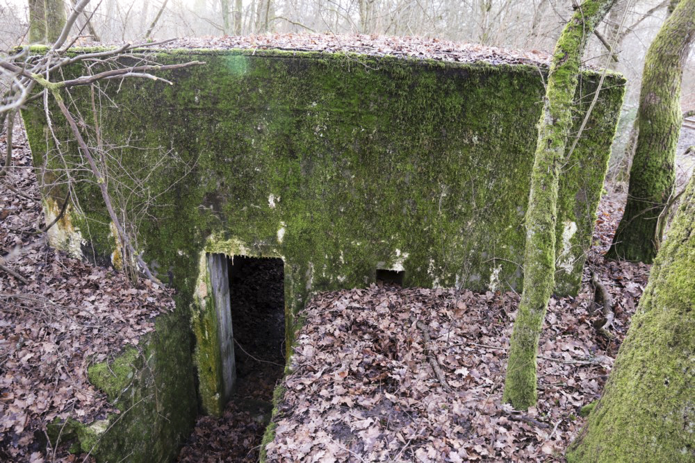 Ligne Maginot - Blockhaus SCHWANDELWALD 5 - Entrée est