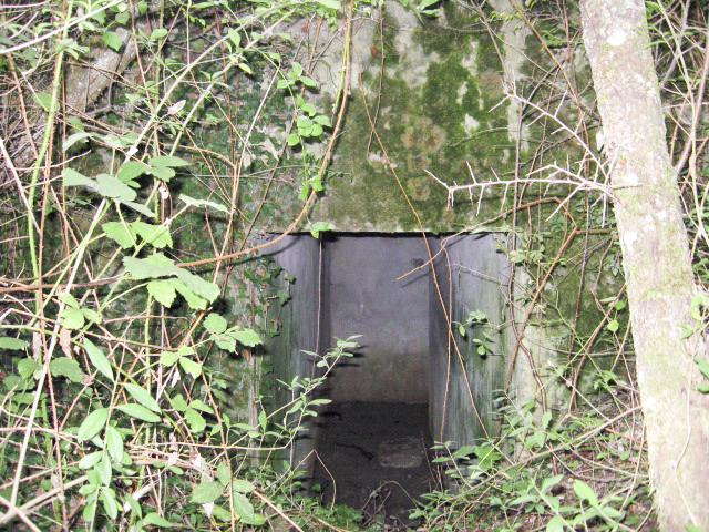 Ligne Maginot - STAND DE TIR - (Abri) - Une des trois entrées