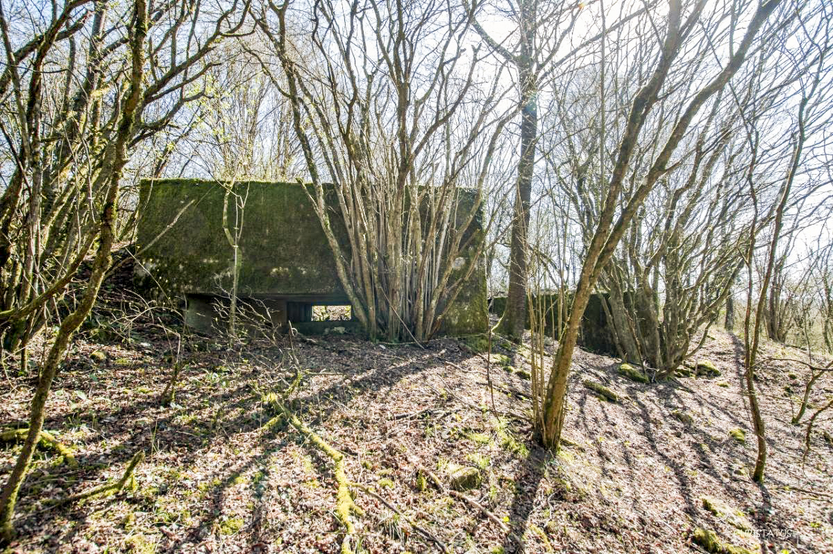 Ligne Maginot - COTE 294 - (Blockhaus pour canon) - 