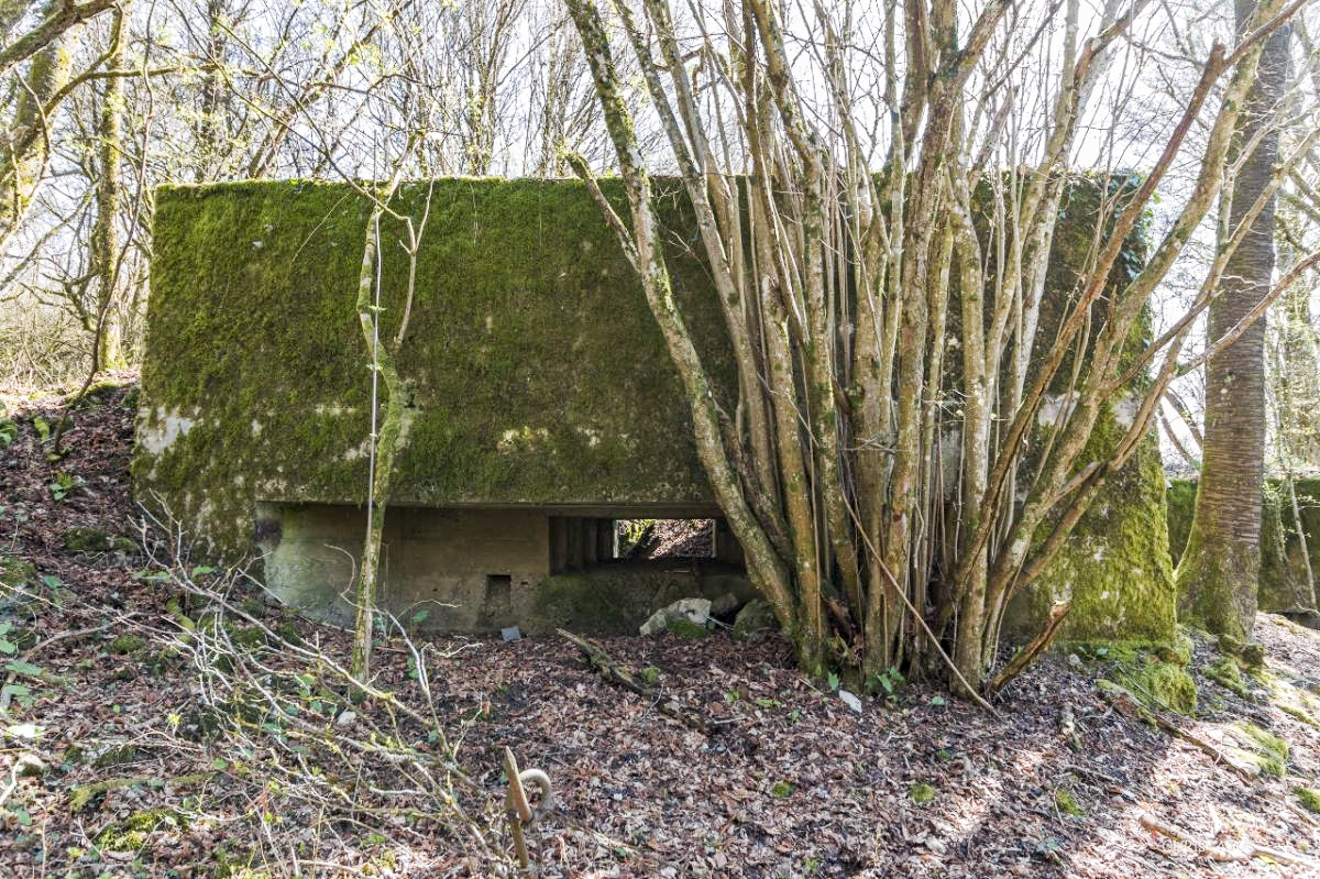 Ligne Maginot - COTE 294 - (Blockhaus pour canon) - 